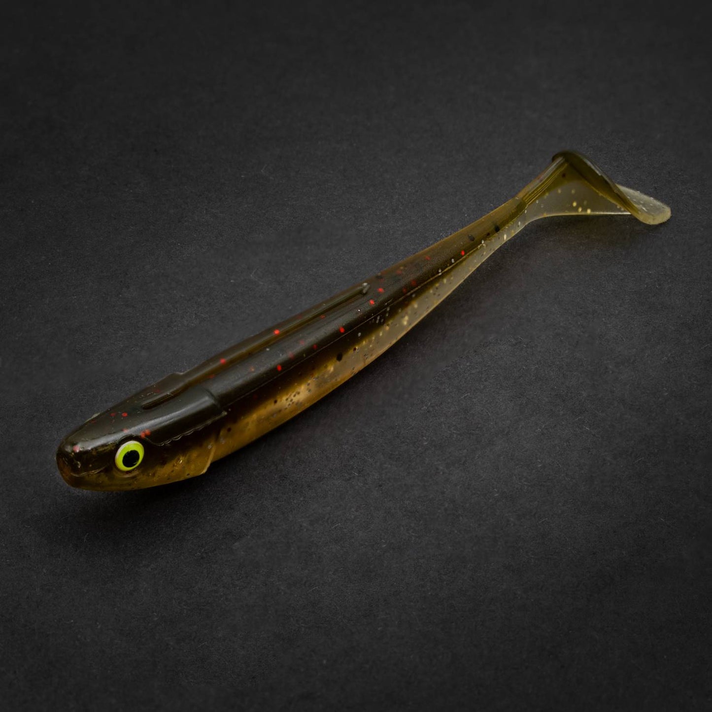 Brown Chameleon